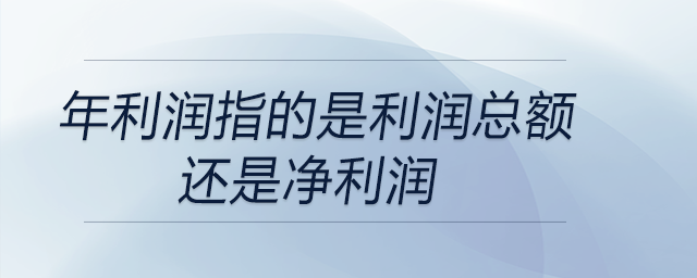 年利潤指的是利潤總額還是凈利潤