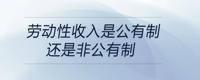 勞動性收入是公有制還是非公有制