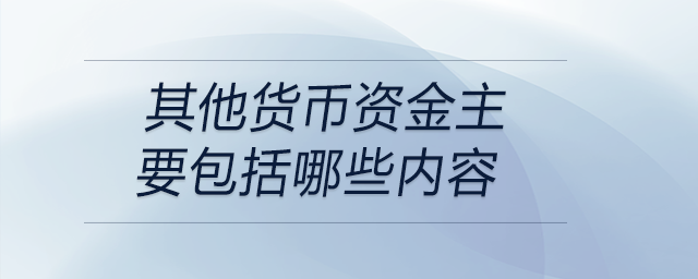 其他貨幣資金主要包括哪些內容