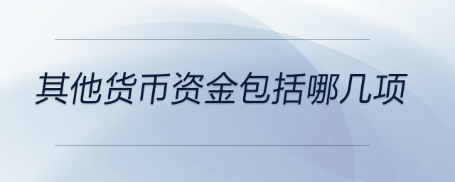 其他貨幣資金包括哪幾項