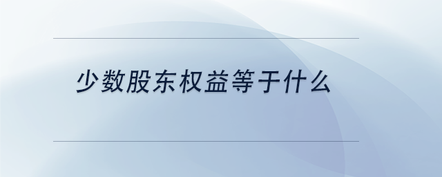 中級會計少數(shù)股東權(quán)益等于什么