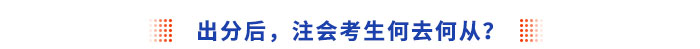 注會出分后，考生何去何從？