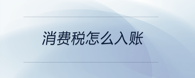 消費(fèi)稅怎么入賬