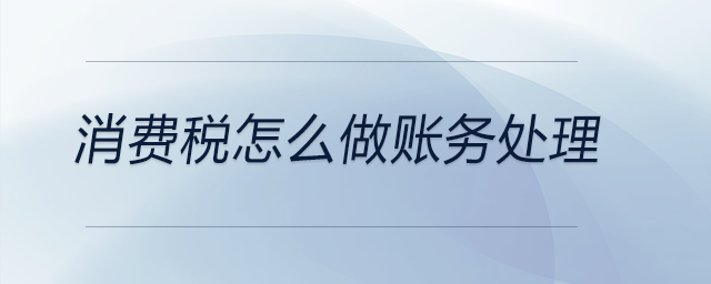 消費(fèi)稅怎么做賬務(wù)處理