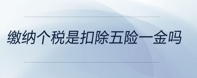 繳納個(gè)稅是扣除五險(xiǎn)一金嗎