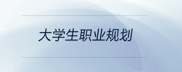 一份想要成為企業(yè)高級管理人員與注冊會計師的大學(xué)生職業(yè)規(guī)劃