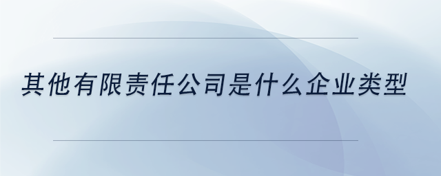 中級會計其他有限責任公司是什么企業(yè)類型