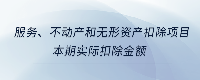 服務(wù)、不動(dòng)產(chǎn)和無形資產(chǎn)扣除項(xiàng)目本期實(shí)際扣除金額