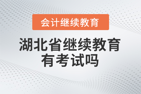 2024年湖北省會計繼續(xù)教育有考試嗎？