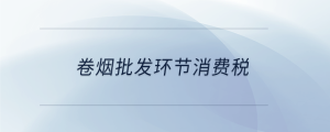 卷煙批發(fā)環(huán)節(jié)消費(fèi)稅