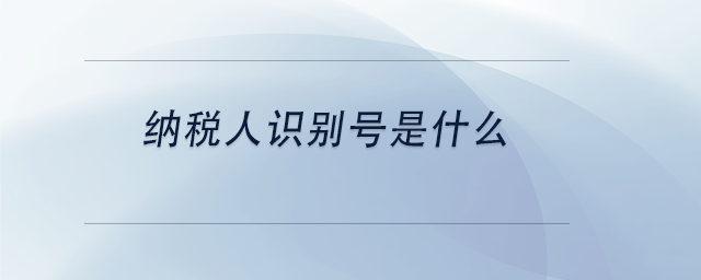 中級會(huì)計(jì)納稅人識別號是什么