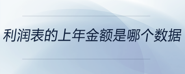 利潤表的上年金額是哪個數據