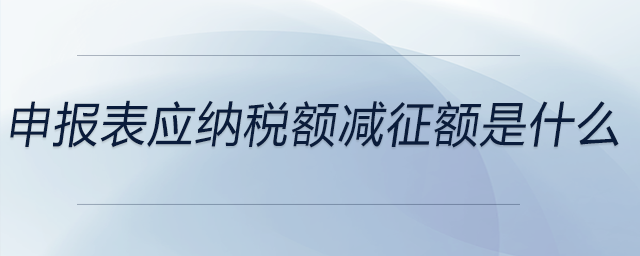 申報表應(yīng)納稅額減征額是什么