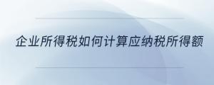 企業(yè)所得稅如何計算應納稅所得額