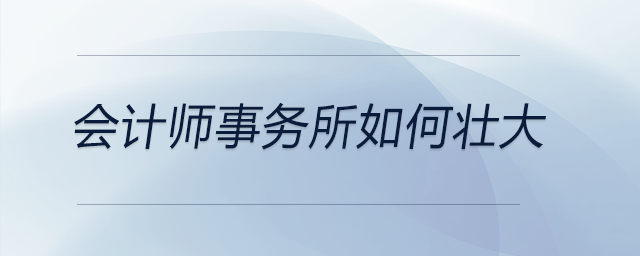 會(huì)計(jì)師事務(wù)所如何壯大