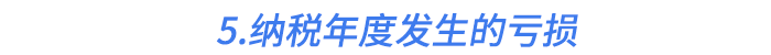 5.納稅年度發(fā)生的虧損
