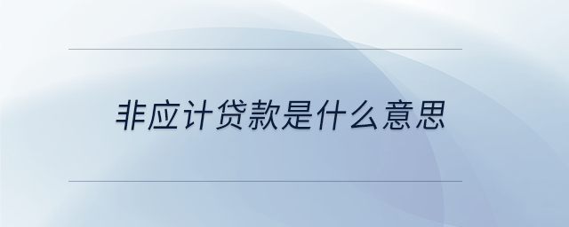 非應(yīng)計(jì)貸款是什么意思