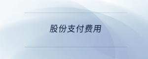 股份支付費(fèi)用