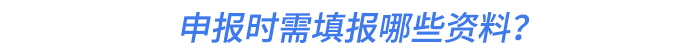 申報時需填報哪些資料？