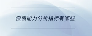 償債能力分析指標有哪些