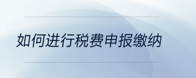如何進(jìn)行稅費(fèi)申報(bào)繳納