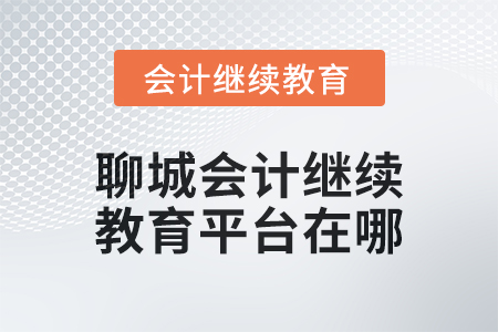2024年聊城會計人員繼續(xù)教育平臺在哪？