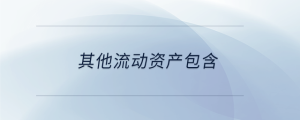 其他流動(dòng)資產(chǎn)包含