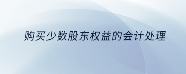 購(gòu)買少數(shù)股東權(quán)益的會(huì)計(jì)處理
