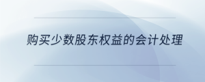 購買少數(shù)股東權(quán)益的會(huì)計(jì)處理