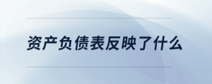 資產(chǎn)負(fù)債表反映了什么
