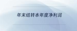 年末結(jié)轉(zhuǎn)本年度凈利潤(rùn)