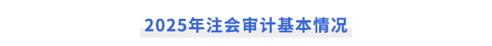 2025年注會(huì)《審計(jì)》基本情況