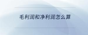 毛利潤(rùn)和凈利潤(rùn)怎么算