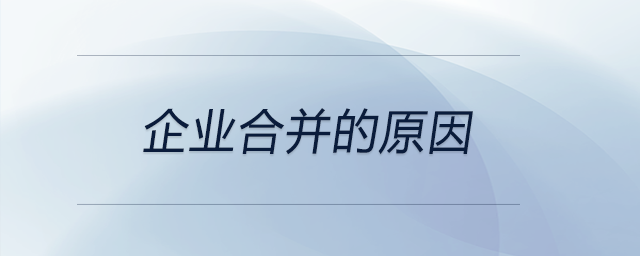 企業(yè)合并的原因