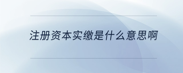 注冊資本實繳是什么意思啊