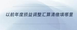 以前年度損益調(diào)整匯算清繳填哪里