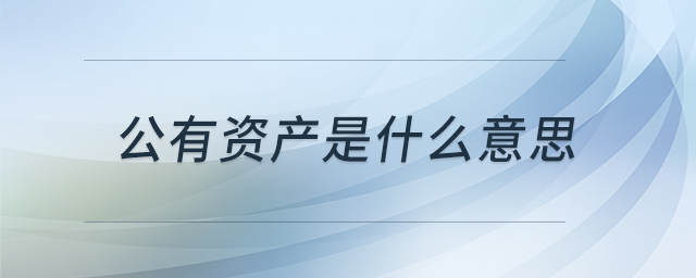 公有資產(chǎn)是什么意思