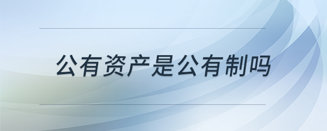 公有資產(chǎn)是公有制嗎