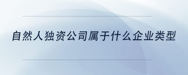 中級會計自然人獨資公司屬于什么企業(yè)類型