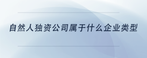 自然人獨資公司屬于什么企業(yè)類型