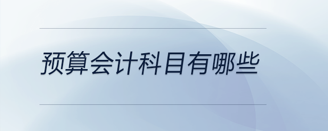 預算會計科目有哪些