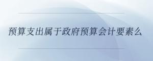預(yù)算支出屬于政府預(yù)算會計要素么