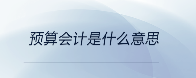 預算會計是什么意思