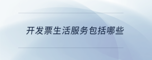 開發(fā)票生活服務(wù)包括哪些