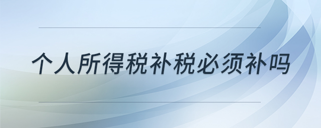 個(gè)人所得稅補(bǔ)稅必須補(bǔ)嗎