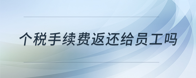 個(gè)稅手續(xù)費(fèi)返還給員工嗎