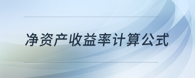 凈資產(chǎn)收益率計(jì)算公式