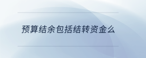 預(yù)算結(jié)余包括結(jié)轉(zhuǎn)資金么