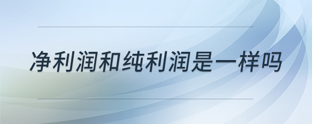 凈利潤和純利潤是一樣嗎