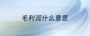 毛利潤(rùn)什么意思
